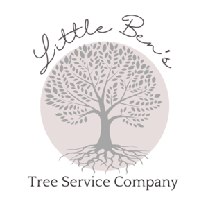 Logo Little Ben’s Tree Service Asheville, NC