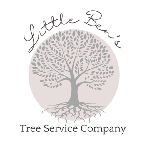 Logo Little Ben’s Tree Service Asheville, NC