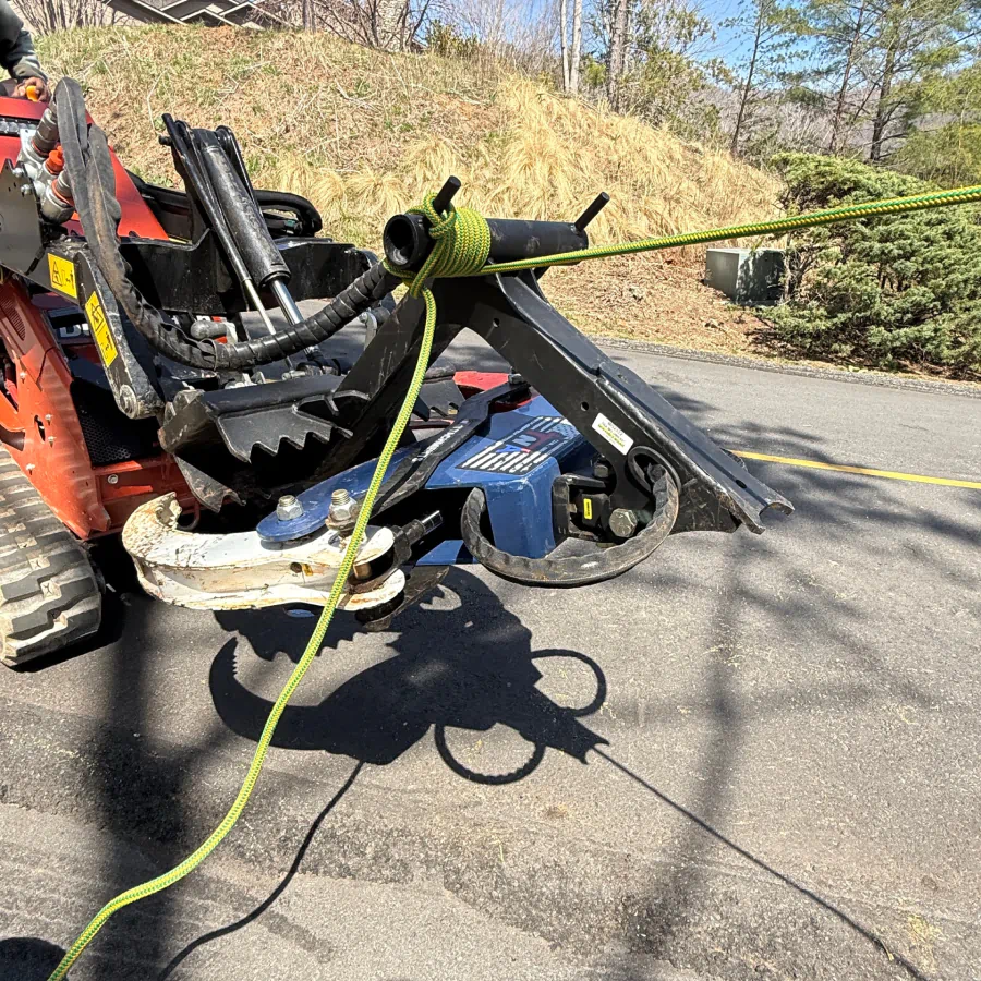 emergency tree removal