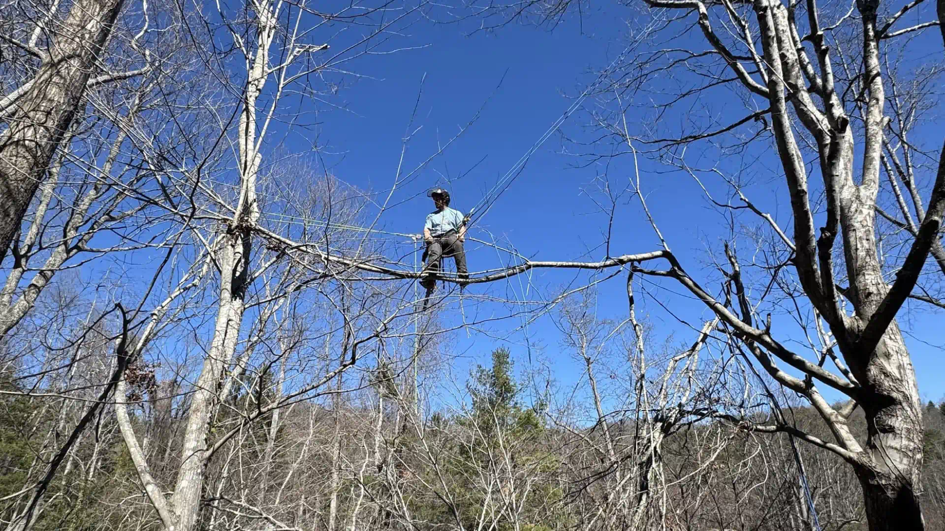 hero main background 2