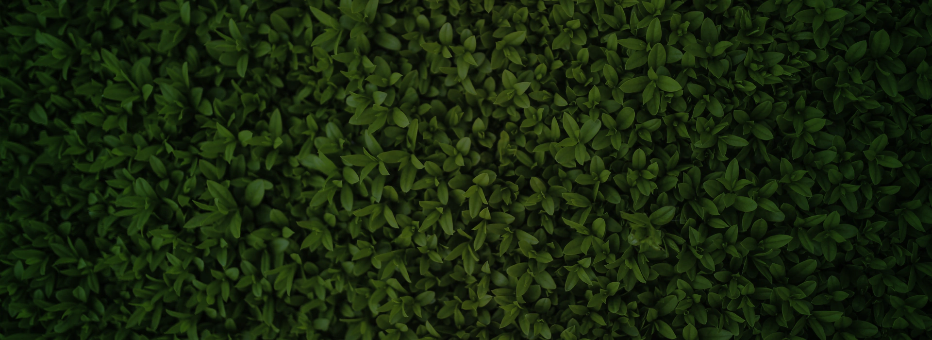 hero secondary background