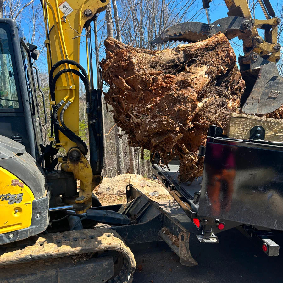 lot clearing service