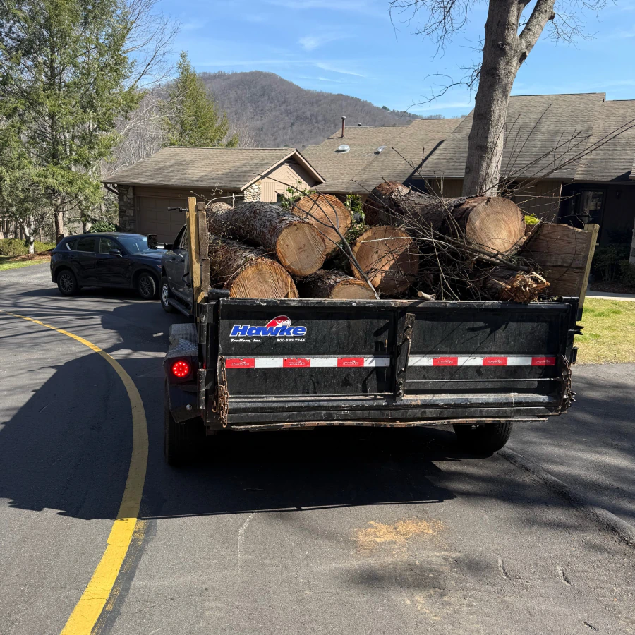 tree debris hauling